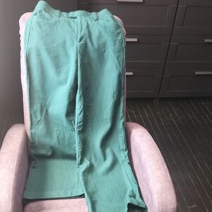 Banana Republic Green Dress Pants
